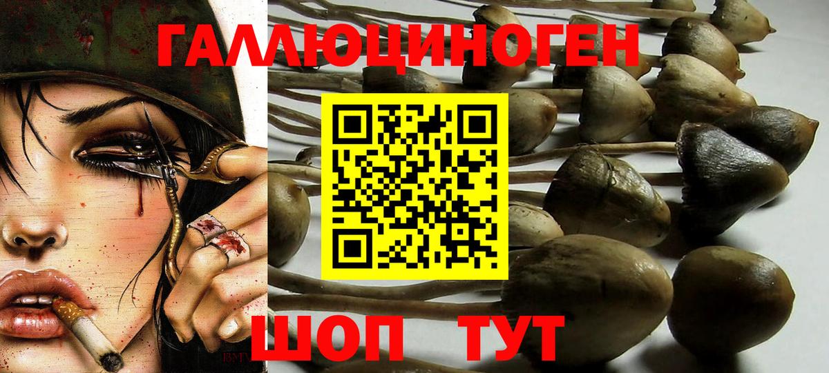 Галлюциногенные грибы Cubensis  Псилоцибиновые грибы ЛСД  Протвино  Вход с VPN 